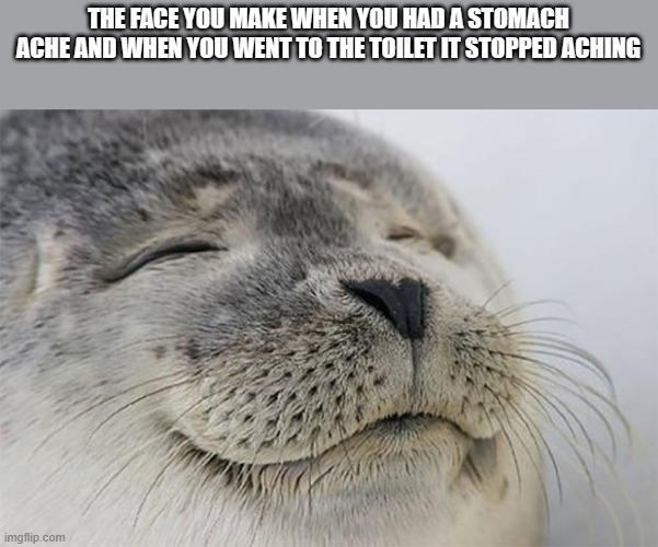 Satisfied Seal | THE FACE YOU MAKE WHEN YOU HAD A STOMACH ACHE AND WHEN YOU WENT TO THE TOILET IT STOPPED ACHING | image tagged in memes,satisfied seal | made w/ Imgflip meme maker