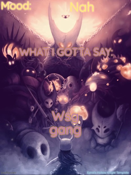 Ik im new but idgaf | Nah; Wsg gang | image tagged in ephni's hollow knight template | made w/ Imgflip meme maker