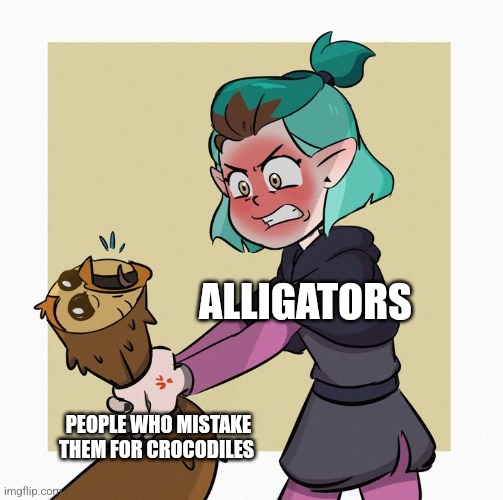 Alligators are not the same thing as crocodiles!!! | ALLIGATORS; PEOPLE WHO MISTAKE THEM FOR CROCODILES | image tagged in amity strangles hooty | made w/ Imgflip meme maker