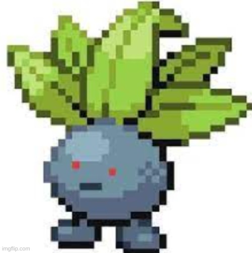 oddish straight face | image tagged in oddish straight face | made w/ Imgflip meme maker