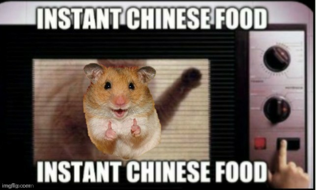 Instant chinese food | image tagged in instant chinese food | made w/ Imgflip meme maker