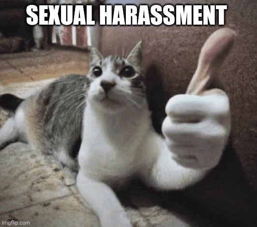 cat thumbs up | SEXUAL HARASSMENT | image tagged in cat thumbs up | made w/ Imgflip meme maker
