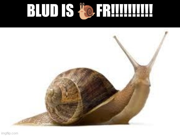 BLUD IS ? FR!!!!!!!!!! | BLUD IS 🐌FR!!!!!!!!!! | made w/ Imgflip meme maker