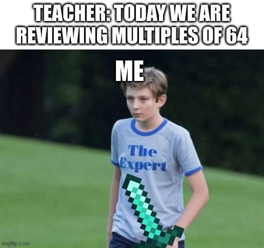 this happened in 3rd grade | TEACHER: TODAY WE ARE REVIEWING MULTIPLES OF 64; ME | image tagged in the expert,school | made w/ Imgflip meme maker