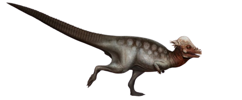 Pachycephalosaurus(Saurian) Blank Meme Template