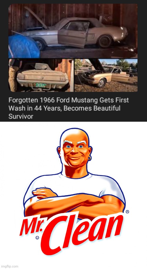 1966 Ford Mustang | image tagged in mr clean,car,cars,memes,wash,1966 | made w/ Imgflip meme maker