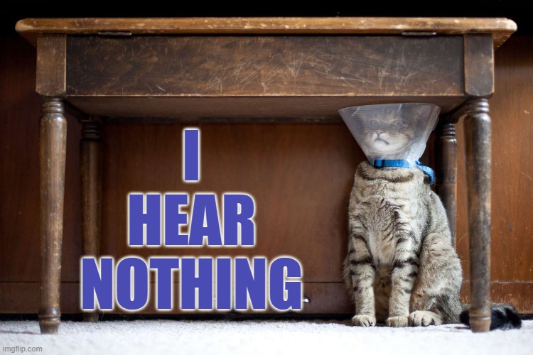 Are You Calling Me? | I HEAR NOTHING | image tagged in memes,cats,cone of silence,call me,hear,nothing | made w/ Imgflip meme maker