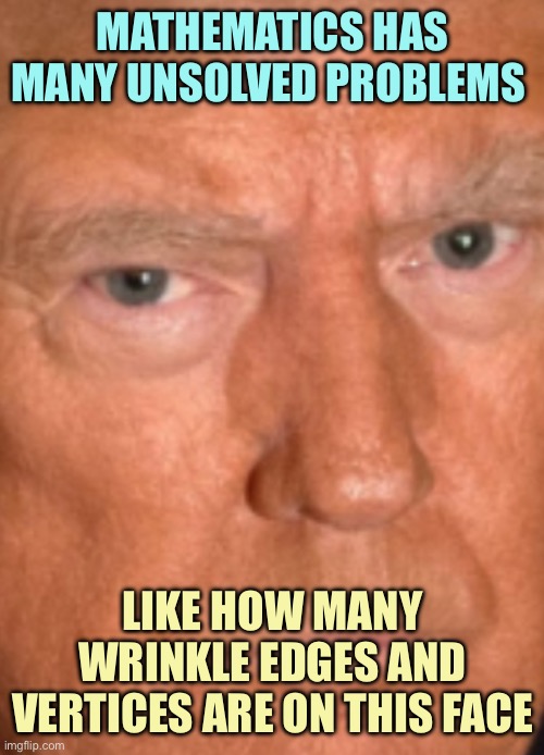 ♾️ / 0 | MATHEMATICS HAS MANY UNSOLVED PROBLEMS; LIKE HOW MANY WRINKLE EDGES AND VERTICES ARE ON THIS FACE | image tagged in memes,donald trump | made w/ Imgflip meme maker