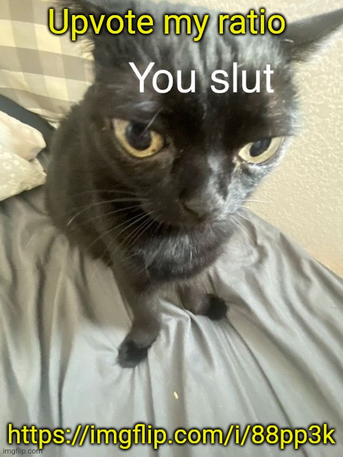 You slut | Upvote my ratio; https://imgflip.com/i/88pp3k | image tagged in you slut | made w/ Imgflip meme maker