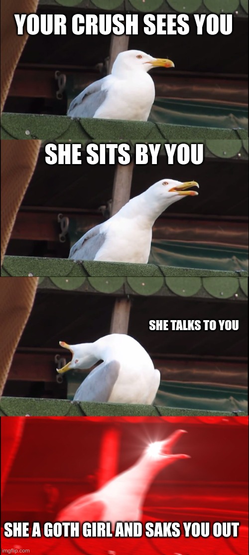 lucky pelican | YOUR CRUSH SEES YOU; SHE SITS BY YOU; SHE TALKS TO YOU; SHE A GOTH GIRL AND SAKS YOU OUT | image tagged in memes,inhaling seagull | made w/ Imgflip meme maker