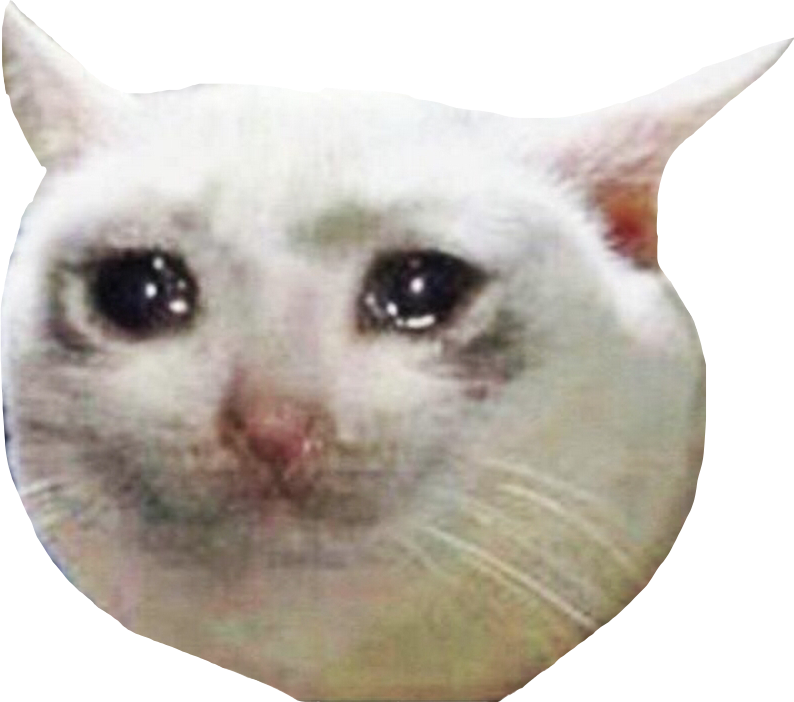 Sad cat Blank Meme Template