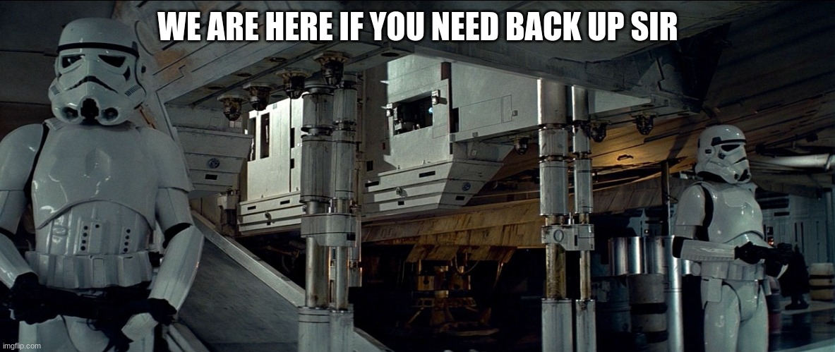 stormtrooper | WE ARE HERE IF YOU NEED BACK UP SIR | image tagged in stormtrooper | made w/ Imgflip meme maker