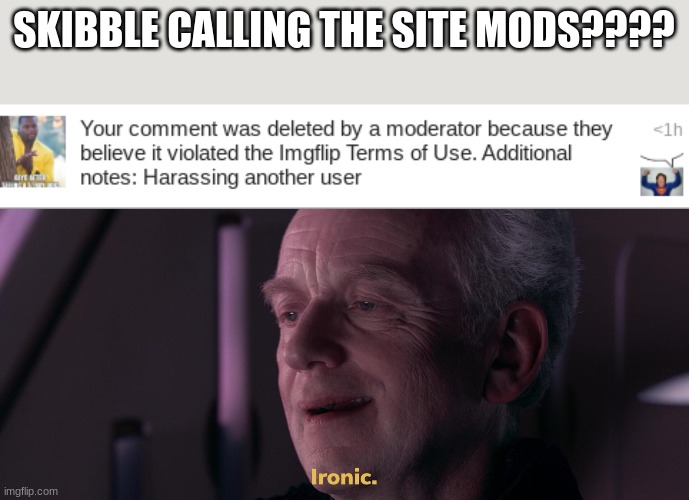 SKIBBLE CALLING THE SITE MODS???? | image tagged in ironic | made w/ Imgflip meme maker