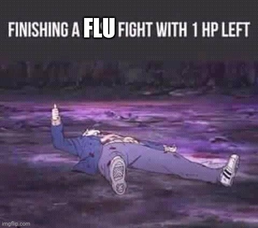 Almost didn't make it | FLU | image tagged in flu | made w/ Imgflip meme maker