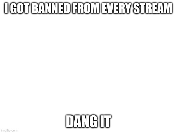 I can’t talk | I GOT BANNED FROM EVERY STREAM; DANG IT | image tagged in blank white template | made w/ Imgflip meme maker