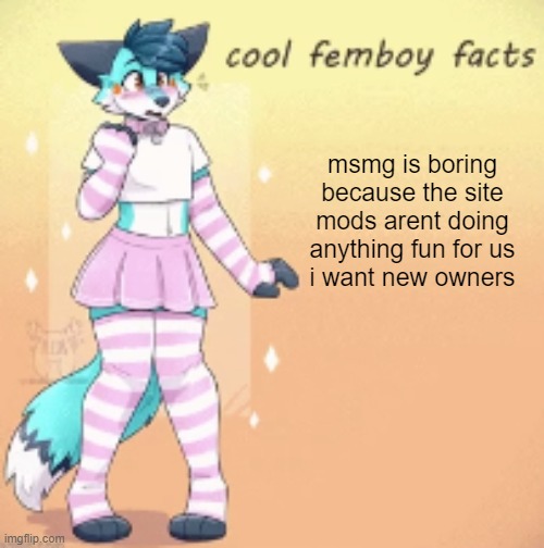 and when i mean new owners, i mean actual ogs of the stream, and not super woke users who never use the stream | msmg is boring because the site mods arent doing anything fun for us
i want new owners | image tagged in cool femboy facts | made w/ Imgflip meme maker