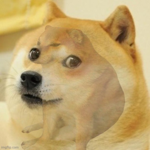 Doge | image tagged in memes,doge | made w/ Imgflip meme maker