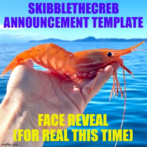 skibblethecreb announcement template | FACE REVEAL (FOR REAL THIS TIME) | image tagged in skibblethecreb announcement template | made w/ Imgflip meme maker