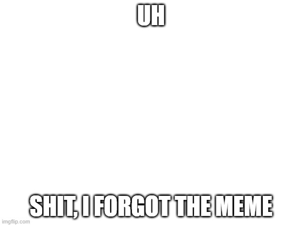 forgot the meme sorry | UH; SHIT, I FORGOT THE MEME | image tagged in funny | made w/ Imgflip meme maker