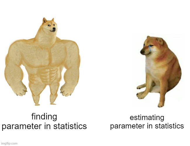 mlestatistics | finding parameter in statistics; estimating parameter in statistics | image tagged in memes,buff doge vs cheems | made w/ Imgflip meme maker