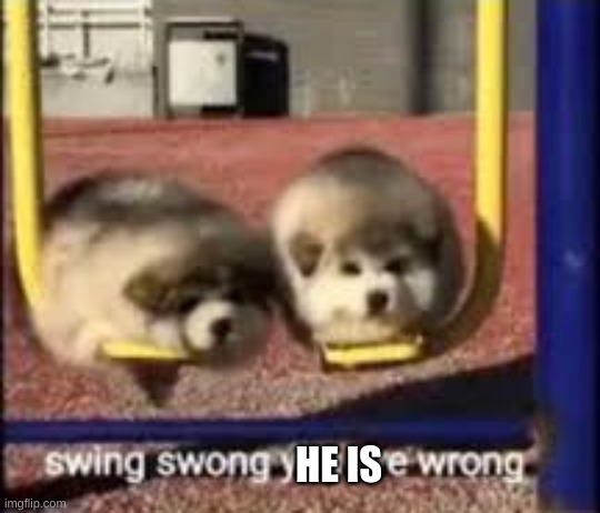 swing swong | HE IS | image tagged in swing swong | made w/ Imgflip meme maker