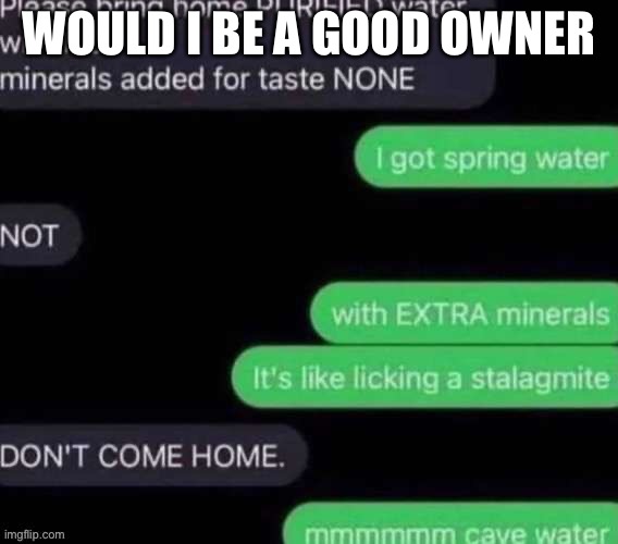 Bored | WOULD I BE A GOOD OWNER | image tagged in cave water | made w/ Imgflip meme maker