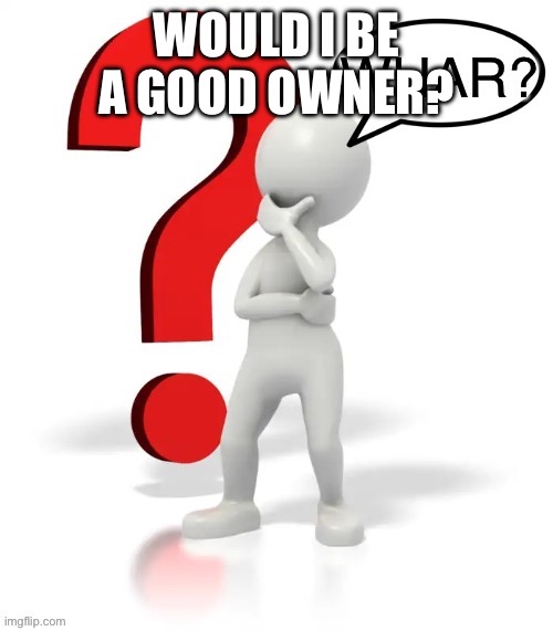 Whar? | WOULD I BE A GOOD OWNER? | image tagged in whar | made w/ Imgflip meme maker