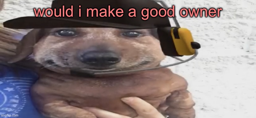chucklenuts | would i make a good owner | image tagged in chucklenuts | made w/ Imgflip meme maker