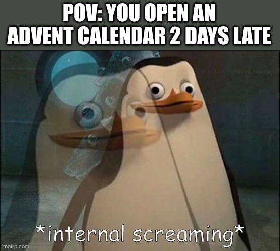 Private Internal Screaming | POV: YOU OPEN AN ADVENT CALENDAR 2 DAYS LATE | image tagged in private internal screaming | made w/ Imgflip meme maker