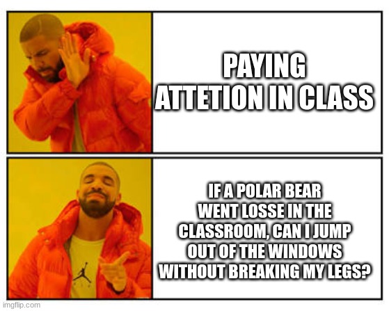 No - Yes | PAYING ATTETION IN CLASS; IF A POLAR BEAR WENT LOSSE IN THE CLASSROOM, CAN I JUMP OUT OF THE WINDOWS WITHOUT BREAKING MY LEGS? | image tagged in no - yes | made w/ Imgflip meme maker