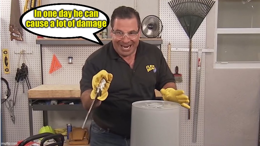 In one day he can cause a lot of damage | image tagged in phil swift that's a lotta damage flex tape/seal | made w/ Imgflip meme maker
