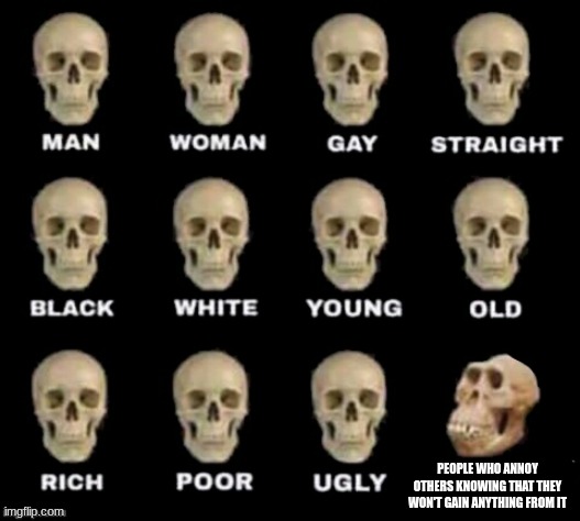 idiot skull | PEOPLE WHO ANNOY OTHERS KNOWING THAT THEY WON'T GAIN ANYTHING FROM IT | image tagged in idiot skull | made w/ Imgflip meme maker