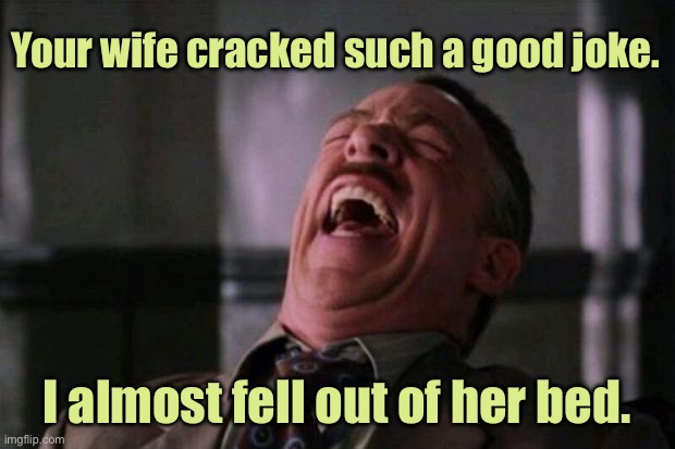 Good joke | Your wife cracked such a good joke. I almost fell out of her bed. | image tagged in your wife,cracked good jokes,nearly fell,out of her bed,fun | made w/ Imgflip meme maker