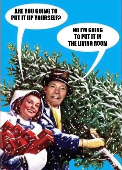 Putting up the Christmas tree | ARE YOU GOING TO PUT IT UP YOURSELF? NO I'M GOING TO PUT IT IN THE LIVING ROOM | image tagged in christmas tree,kewlew | made w/ Imgflip meme maker