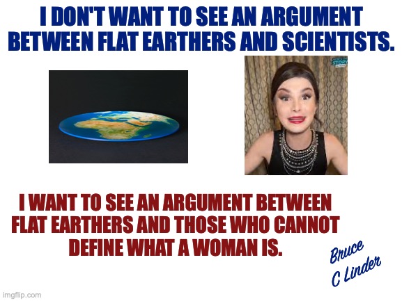 What's Crazier | I DON'T WANT TO SEE AN ARGUMENT BETWEEN FLAT EARTHERS AND SCIENTISTS. I WANT TO SEE AN ARGUMENT BETWEEN
FLAT EARTHERS AND THOSE WHO CANNOT
DEFINE WHAT A WOMAN IS. Bruce
C Linder | image tagged in what's crazier,flat earth,what is a woman,debate | made w/ Imgflip meme maker