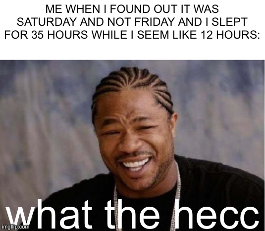 Me going to sleep be like: | ME WHEN I FOUND OUT IT WAS SATURDAY AND NOT FRIDAY AND I SLEPT FOR 35 HOURS WHILE I SEEM LIKE 12 HOURS:; what the hecc | image tagged in memes,yo dawg heard you,funny,viral | made w/ Imgflip meme maker
