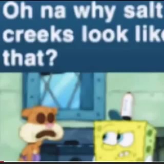 oh na why salt creeks look like that Blank Meme Template