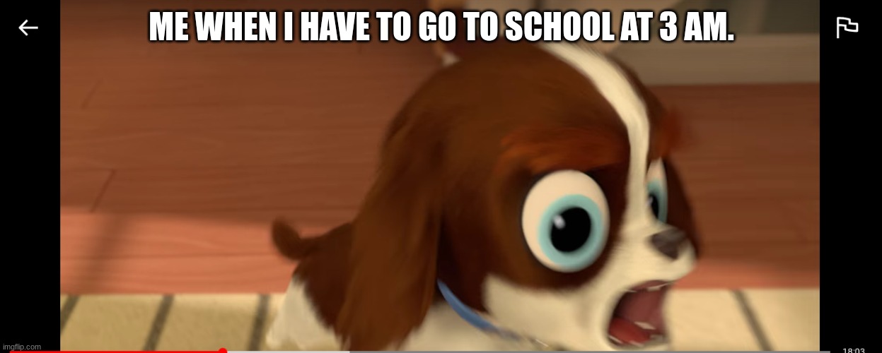 meme | ME WHEN I HAVE TO GO TO SCHOOL AT 3 AM. | image tagged in dog | made w/ Imgflip meme maker