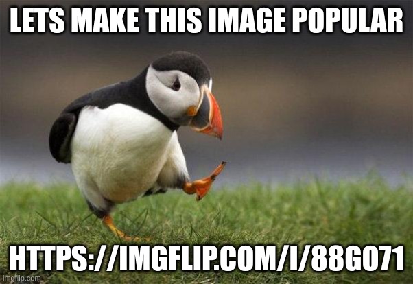 https://imgflip.com/i/88go71 | LETS MAKE THIS IMAGE POPULAR; HTTPS://IMGFLIP.COM/I/88GO71 | image tagged in popular opinion puffin | made w/ Imgflip meme maker