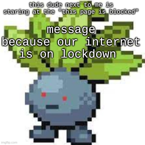 not literally on lockdown its just hella strict | this dude next to me is staring at the "this page is blocked"; message because our internet is on lockdown | image tagged in oddish straight face | made w/ Imgflip meme maker