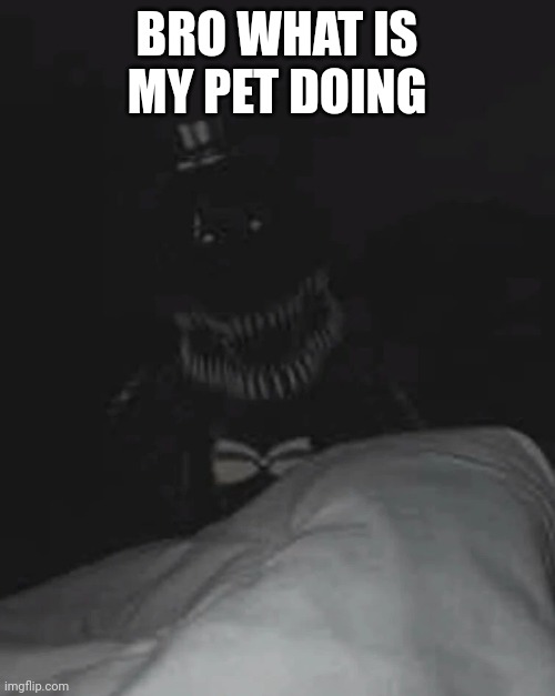 Wtf | BRO WHAT IS MY PET DOING | image tagged in bro my _____ is acting weird | made w/ Imgflip meme maker