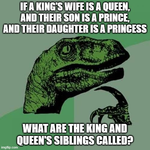 Or am I drunk for asking this and need to be executed? | IF A KING'S WIFE IS A QUEEN, AND THEIR SON IS A PRINCE, AND THEIR DAUGHTER IS A PRINCESS; WHAT ARE THE KING AND QUEEN'S SIBLINGS CALLED? | image tagged in memes,philosoraptor,kings,queens,royalty,so yeah | made w/ Imgflip meme maker