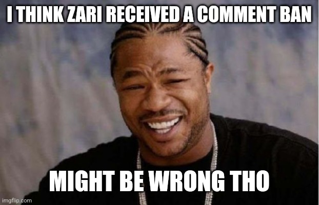 Yo Dawg Heard You | I THINK ZARI RECEIVED A COMMENT BAN; MIGHT BE WRONG THO | image tagged in memes,yo dawg heard you | made w/ Imgflip meme maker