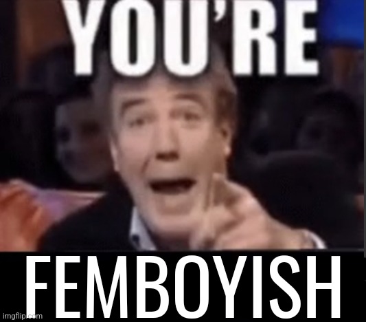You're X (Blank) | FEMBOYISH | image tagged in you're x blank | made w/ Imgflip meme maker