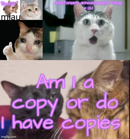 AmeTonian's announcement Temp v 1.2.1 | Am I a copy or do I have copies | image tagged in ametonian's announcement temp v 1 2 1 | made w/ Imgflip meme maker