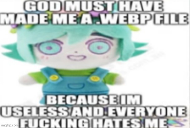 why was webp created in the first place | made w/ Imgflip meme maker