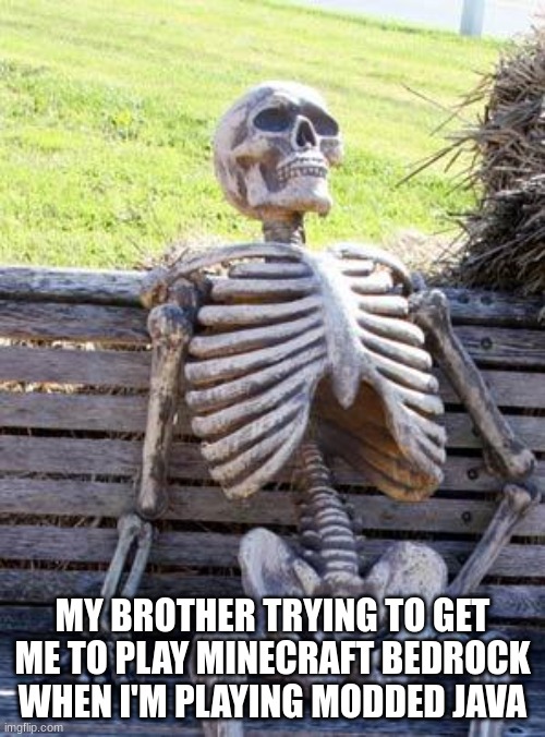 Java > Bedrock | MY BROTHER TRYING TO GET ME TO PLAY MINECRAFT BEDROCK WHEN I'M PLAYING MODDED JAVA | image tagged in memes,waiting skeleton | made w/ Imgflip meme maker
