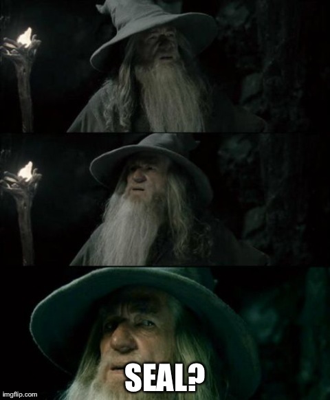 Confused Gandalf Meme | SEAL? | image tagged in memes,confused gandalf,AdviceAnimals | made w/ Imgflip meme maker