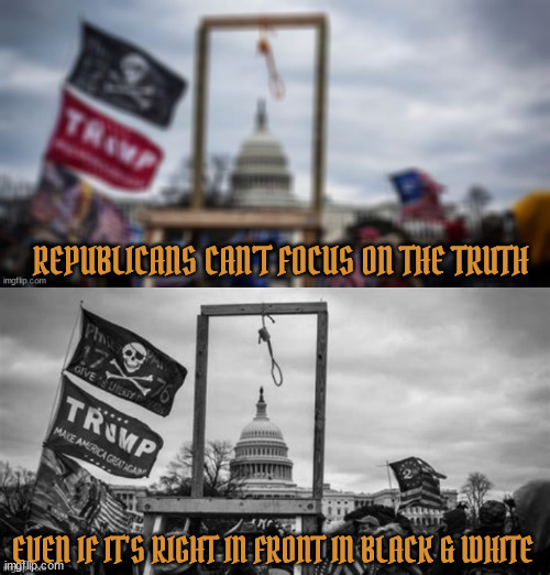 The Whole Truth in focus | REPUBLICANS CAN'T FOCUS ON THE TRUTH; EVEN IF IT'S RIGHT IN FRONT IN BLACK & WHITE | image tagged in republican complicite coup,focus,blusr mike johnson,criminals,coup,inssurection | made w/ Imgflip meme maker
