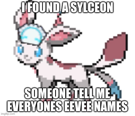 sylceon | I FOUND A SYLCEON; SOMEONE TELL ME EVERYONES EEVEE NAMES | image tagged in sylceon | made w/ Imgflip meme maker